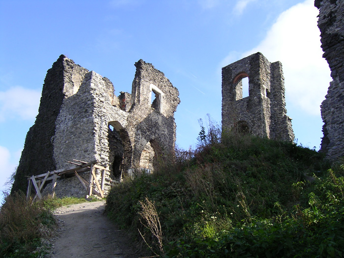 SANY9199