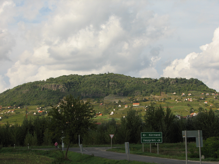 IMG_1909