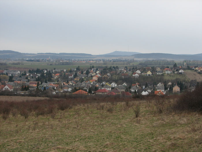 IMG_0114D
