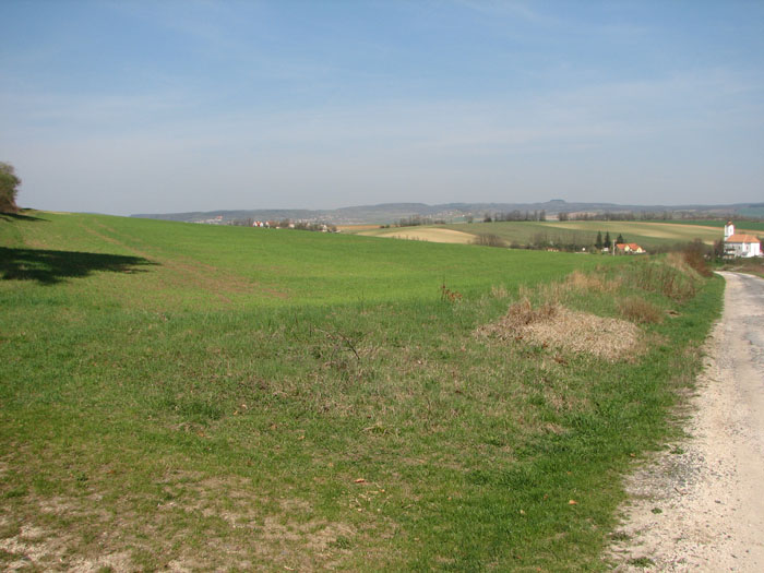 IMG_4983D