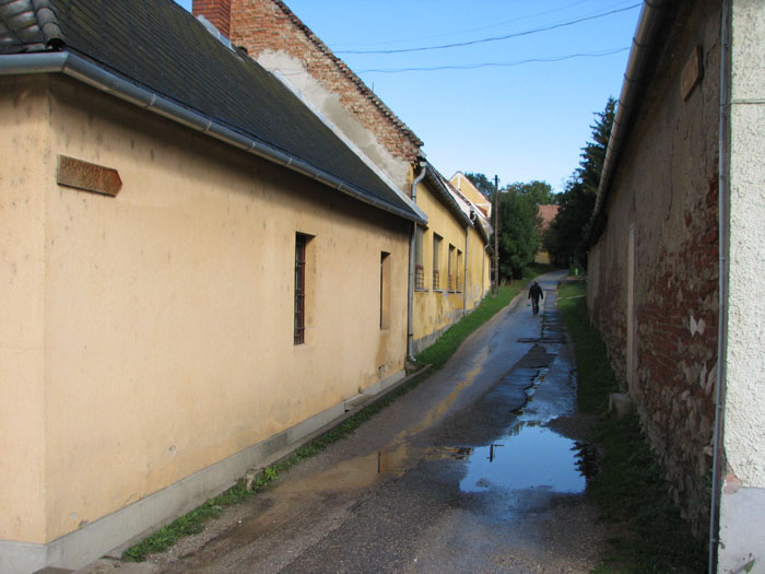 IMG_9337D