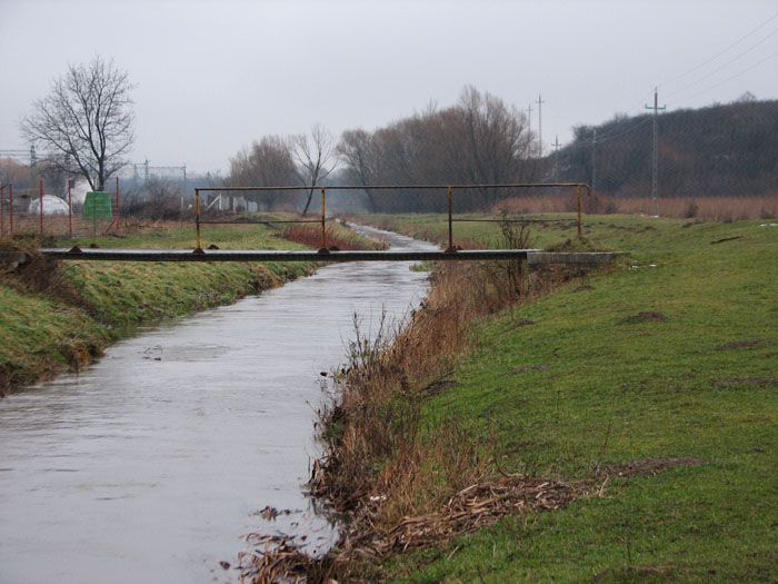 007